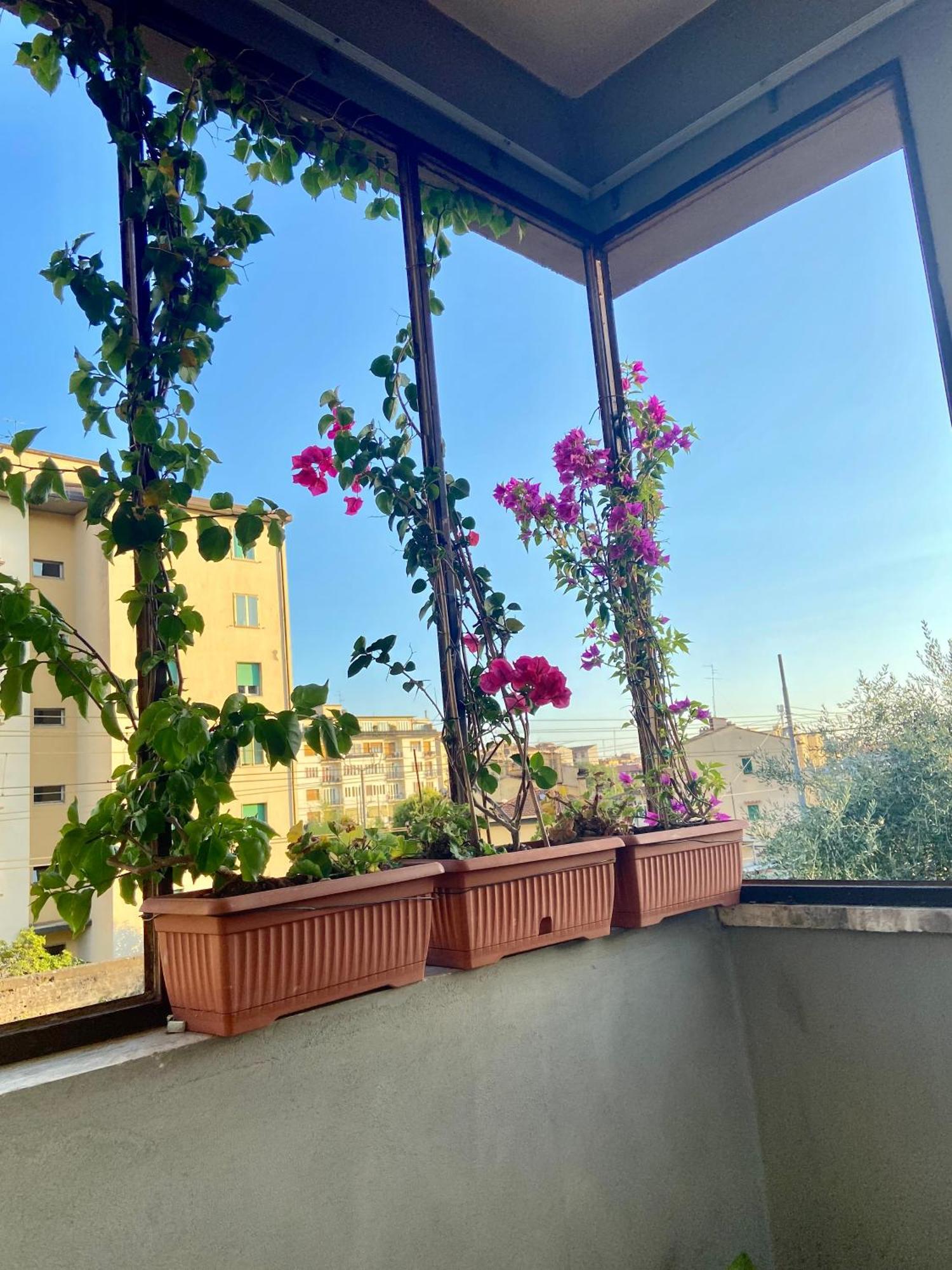 La Casa Del Sole Apartment Florence