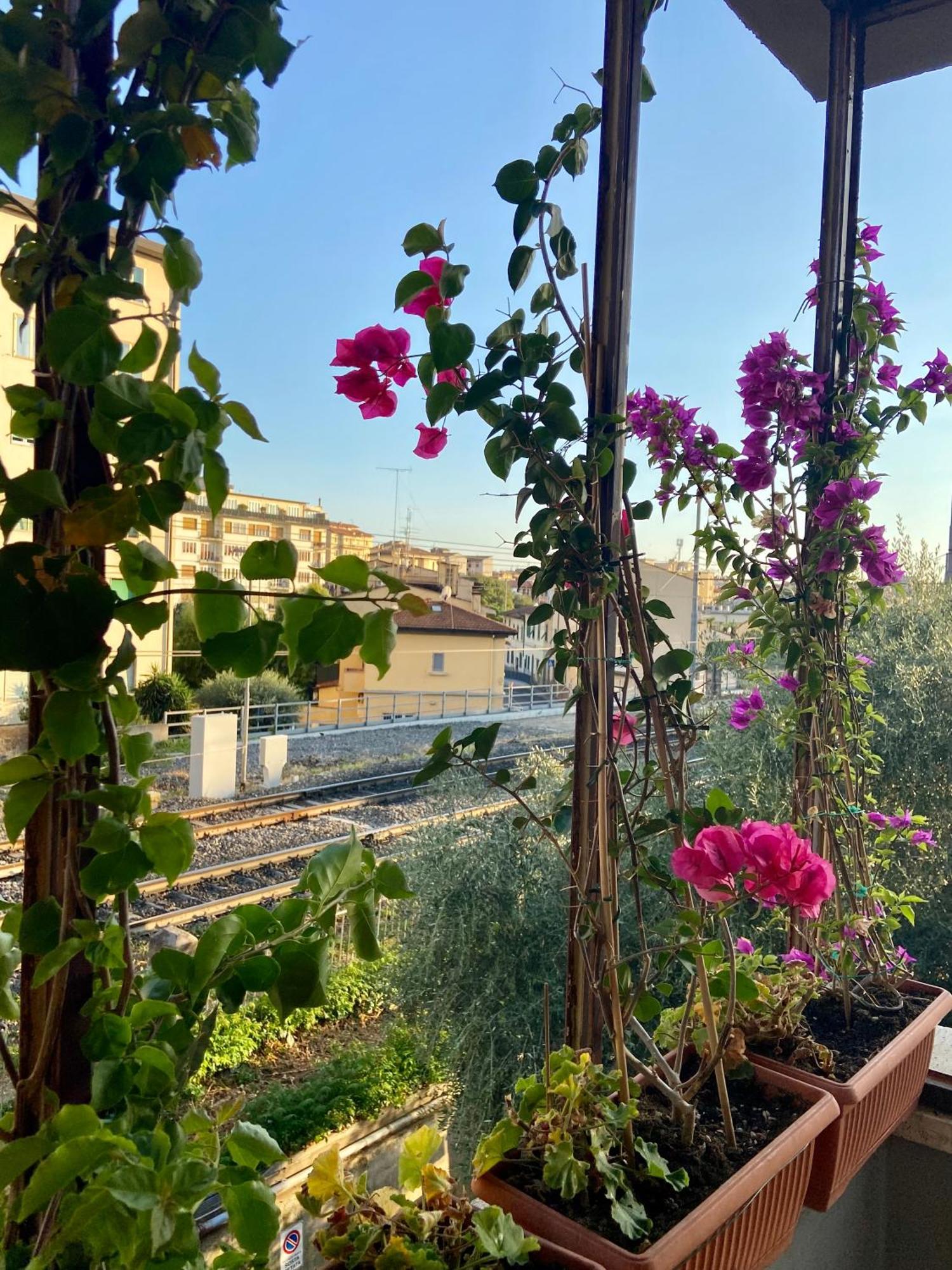 La Casa Del Sole Apartment Florence